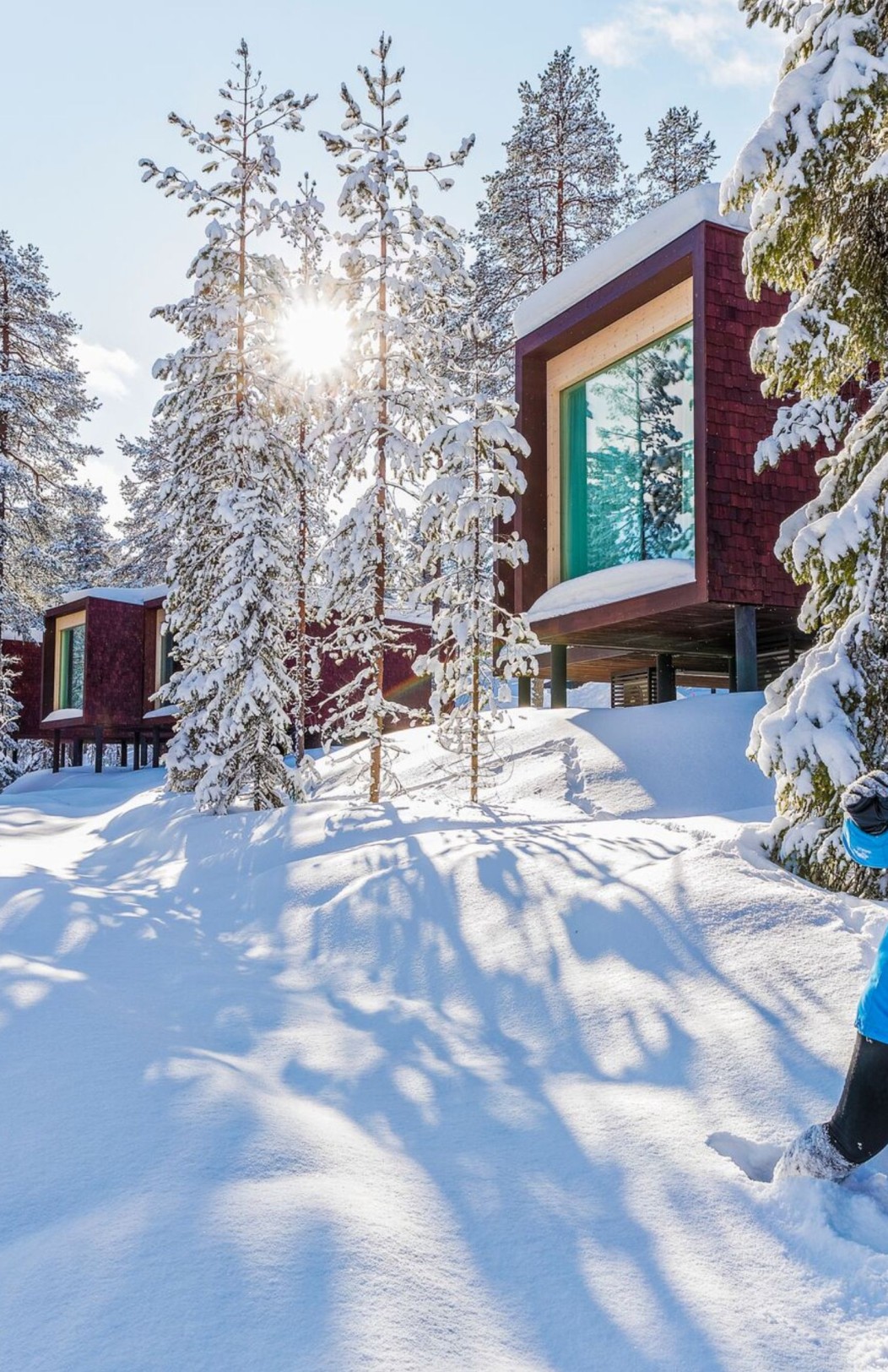 Christmas with Santa Claus at Arctic TreeHouse