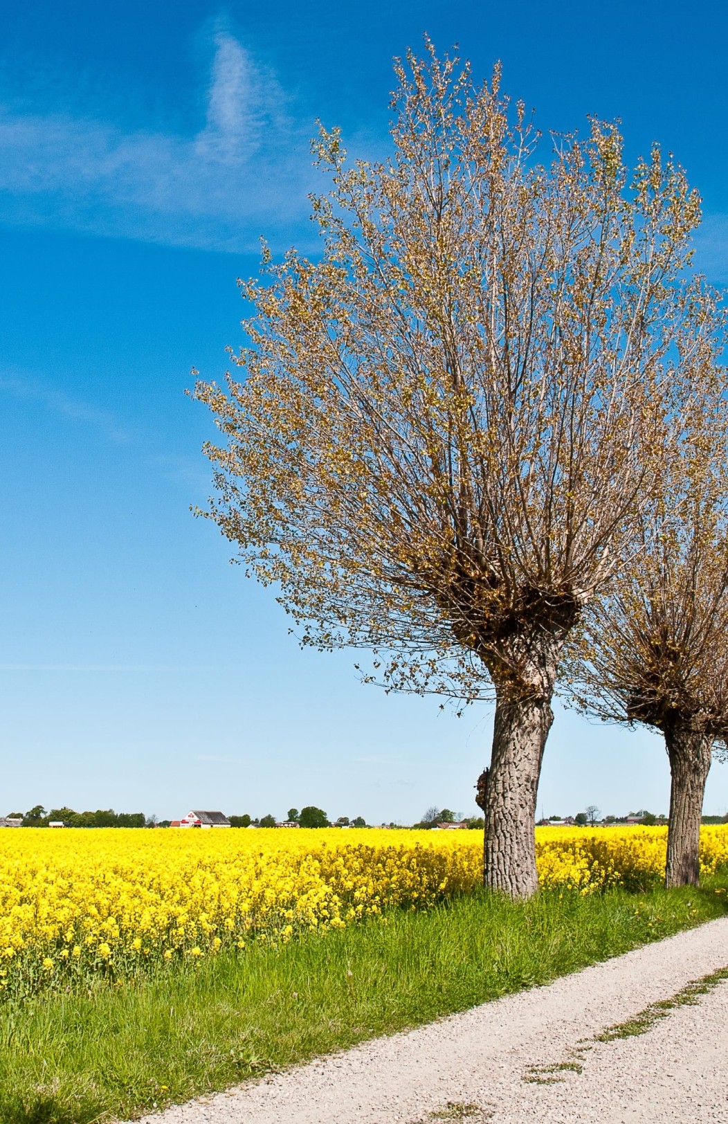 Copenhagen & Sweden in a Nutshell