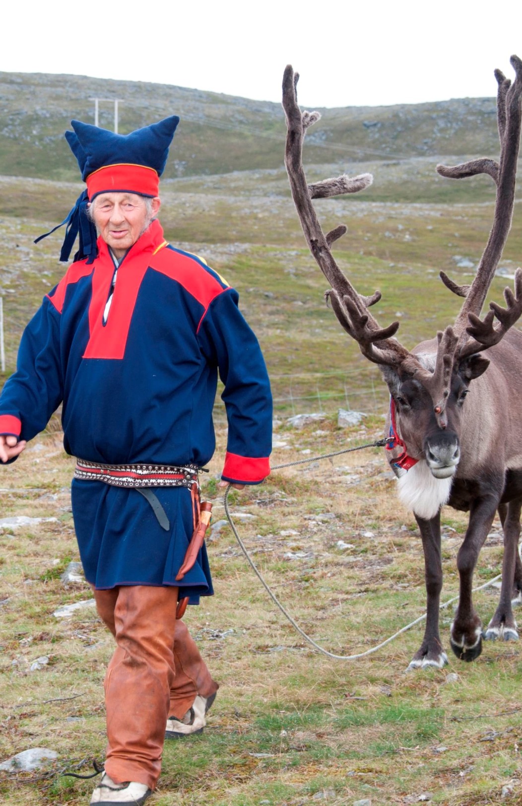 Arctic Summer Adventure & Tromsø