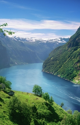 Fjords & Coastal Cruise