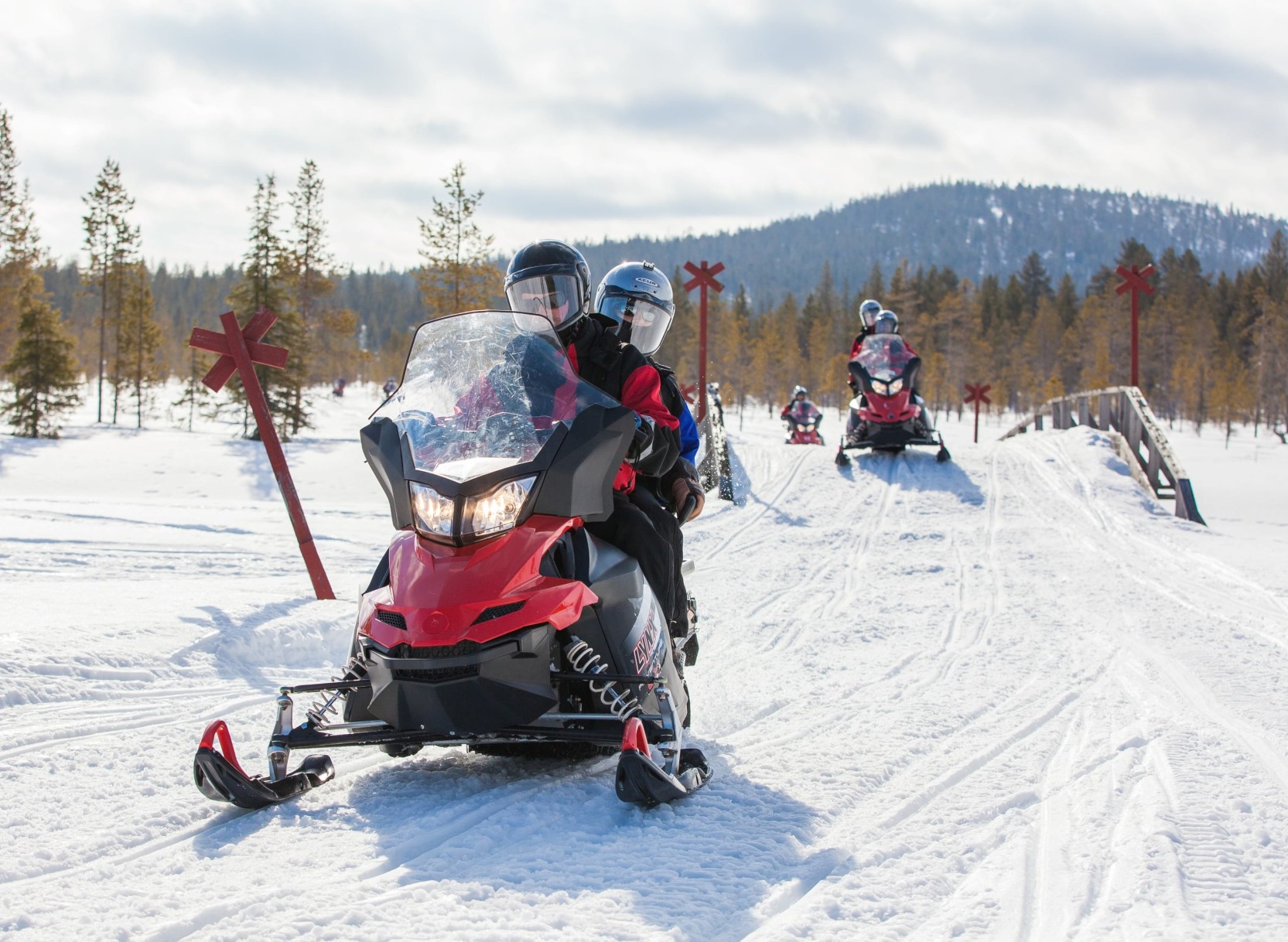Snowmobile & Dog Sledding Adventure
